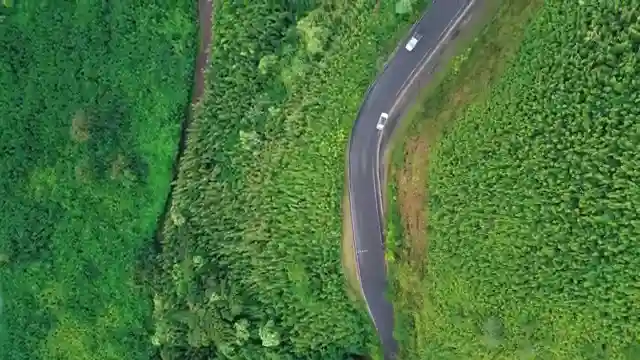 mauis-road-to-hana-private-tour-guide-for-unforgettable-adventures