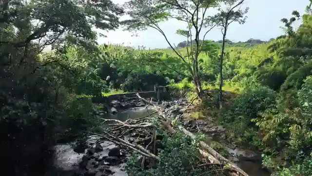 mauis-road-to-hana-private-tour-guide-for-unforgettable-adventures