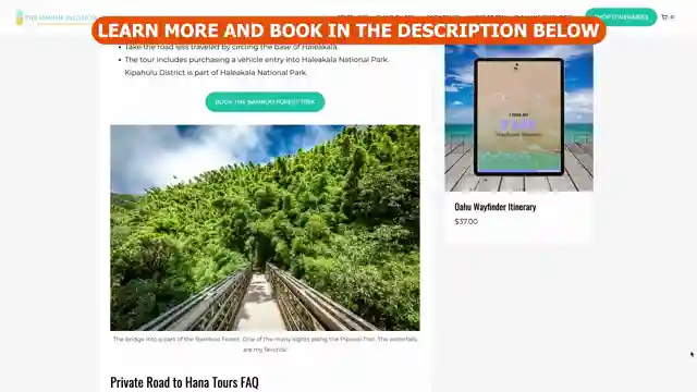 mauis-road-to-hana-private-tour-guide-for-unforgettable-adventures