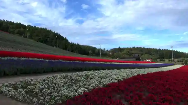 discover-japan-25-must-visit-destinations-for-nature-and-culture-enthusiasts