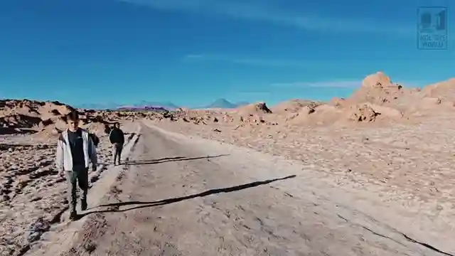 ultimate-guide-to-atacama-desert-safety-tips-wildlife-and-stargazing