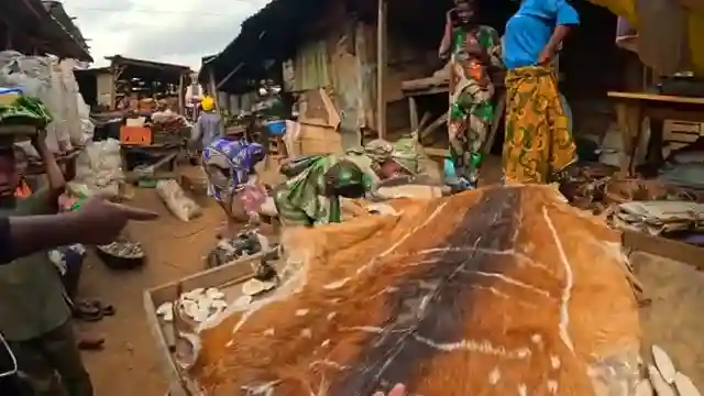 unveiling-the-mysteries-seeking-a-voodoo-priest-in-nigeria