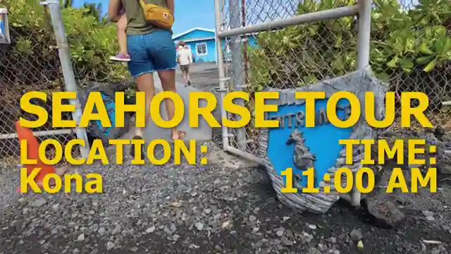 hawaii-vacation-guide-coffee-seahorses-and-luau-adventure