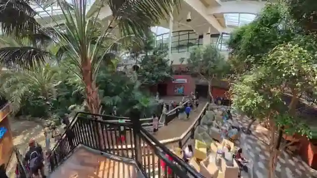 luxury-vs-budget-uk-resorts-center-parks-vs-butlands
