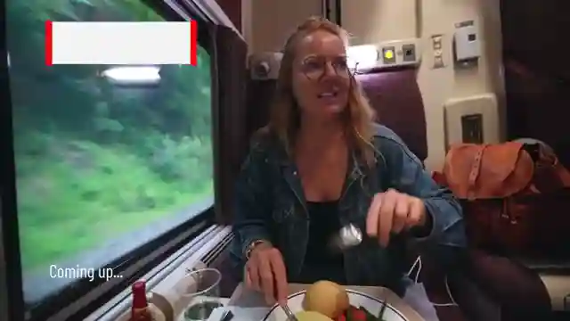 luxurious-amtrak-journey-florida-to-chicago-travel-guide