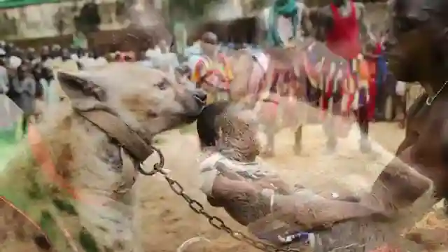 exploring-nigeria-markets-rituals-and-ethical-reflections