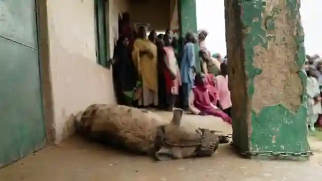 exploring-nigeria-markets-rituals-and-ethical-reflections