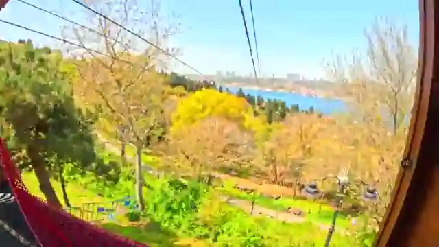 turkish-thrills-hair-transplant-ziplining-and-culinary-delights-with-ali