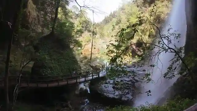 exploring-taiwans-hidden-gems-sun-moon-lake-alishan-adventure