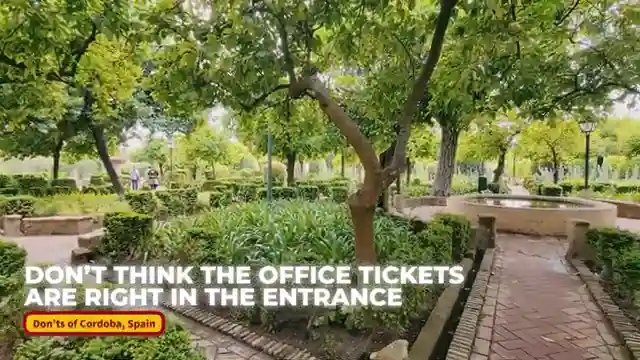 ultimate-guide-to-cordoba-top-sites-tips-and-local-delights
