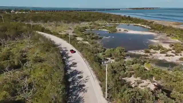 exploring-key-west-scenic-drives-key-lime-pie-and-seafood-delights