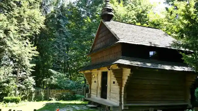 discover-ukraines-hidden-gems-from-treecovered-tracks-to-majestic-fortresses